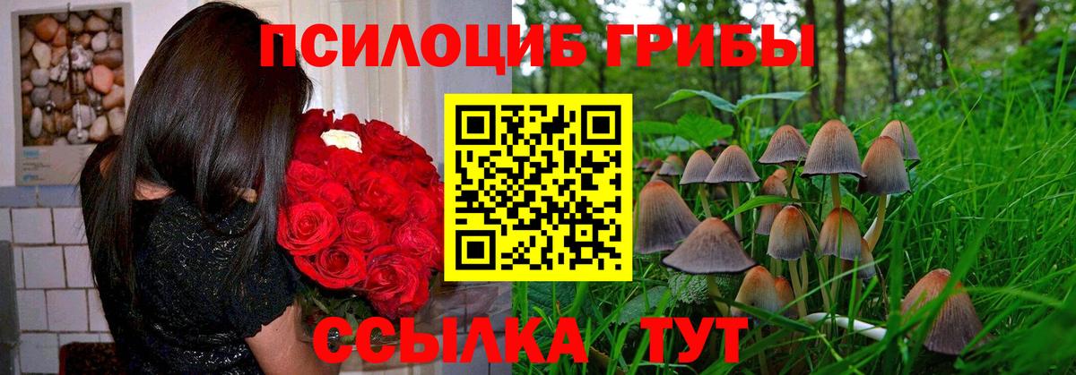 Псилоцибиновые грибы Magic Shrooms  Вход с VPN  Реж 